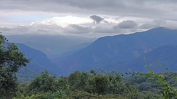 Entre Mangos y Tucanes