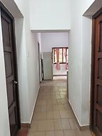 Entre Mangos y Tucanes