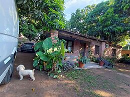 Entre Mangos y Tucanes