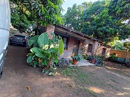 Entre Mangos y Tucanes