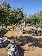 Zephyrus Sunset House