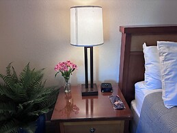 Discovery Inn