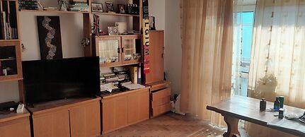 2 Bed Appt-balcony-pet Friendly-city Centre