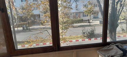 2 Bed Appt-balcony-pet Friendly-city Centre