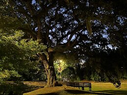 Serene Oasis In Daphne: Cozy Home With Giant Oaks 4 Bedroom Home