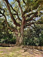 Serene Oasis In Daphne: Cozy Home With Giant Oaks 4 Bedroom Home