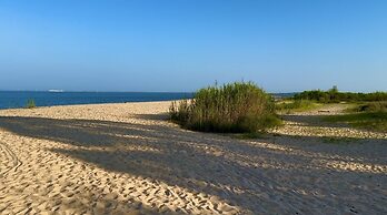 Serene Oasis In Daphne: Cozy Home With Giant Oaks 4 Bedroom Home