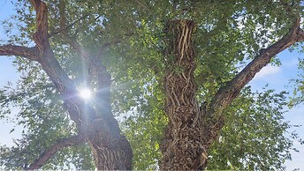 Mount Garfield Hideaway 3 Bedroom Home