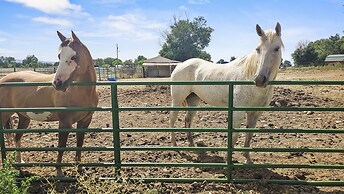 Mount Garfield Hideaway 3 Bedroom Home