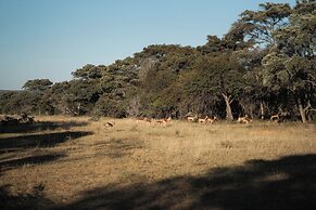 Room in Guest Room - Mmakuba Private Game Lodge, Deluxe Chalet 8B