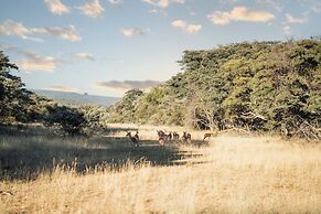Room in Guest Room - Mmakuba Private Game Lodge, Superior Suite 4
