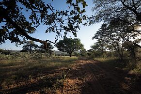 Room in Guest Room - Mmakuba Private Game Lodge, Deluxe Chalet 7C
