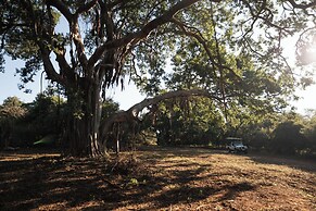 Room in Guest Room - Mmakuba Private Game Lodge, Deluxe Chalet 7C