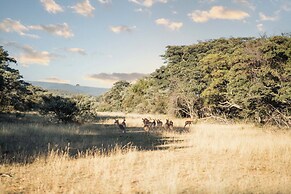 Room in Guest Room - Serene Retreat in Bracondale Mountain Views & Pri