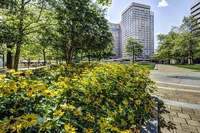 Baltimore executive Furnished rentals