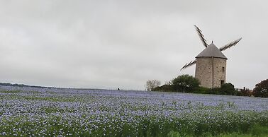 Le petit moulin rouge