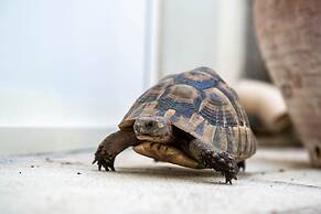 La Maison de Famille