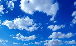 Daniel de Souza Miguel