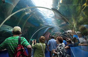 Luxury Family Home Central Bournemouth Sleeps 6