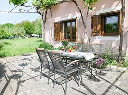 Green and Lush Apartments With Terrace