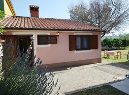 Green and Lush Apartments With Terrace
