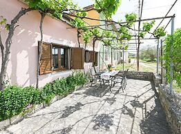 Green and Lush Apartments With Terrace