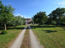 Green and Lush Apartments With Terrace