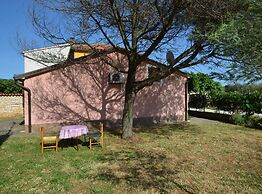 Green and Lush Apartments With Terrace