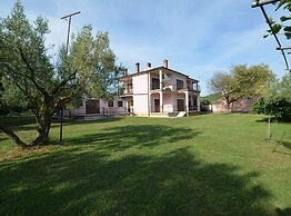 Green and Lush Apartments With Terrace