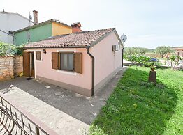 Green and Lush Apartments With Terrace
