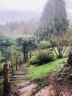 MapleRidge House: A BnB For All Seasons!