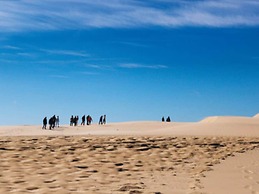 6 Person Holiday Park Home in Skagen