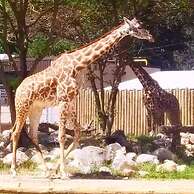 3 Blocks to Notre Dame EV Charger 1707