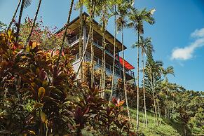 Marjorie's Kauai Inn