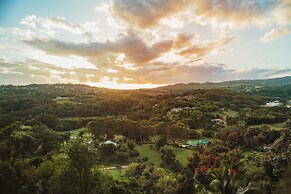 Marjorie's Kauai Inn