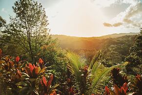 Marjorie's Kauai Inn