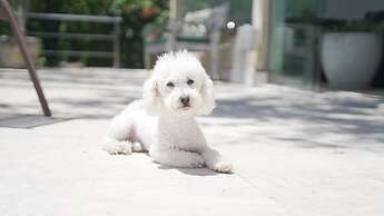 Hotel Boutique Renascer em Búzios