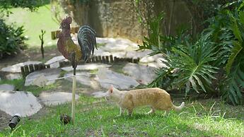 Hotel Boutique Renascer em Búzios