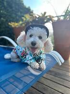 Hotel Boutique Renascer em Búzios