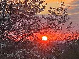 Tranquil Cabin Retreat Near Chepstow