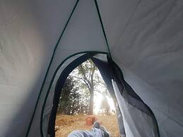 Janardan Campsite Kausani