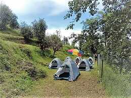 Janardan Campsite Kausani