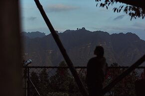 BZIKA Wonderland Retreat