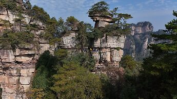 BZIKA Wonderland Retreat