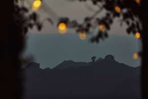 BZIKA Wonderland Retreat