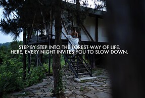 BZIKA Wonderland Retreat