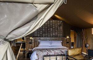 BZIKA Wonderland Retreat