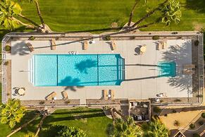 Canyon Palm in Palm Springs