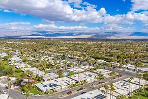 Canyon Palm in Palm Springs