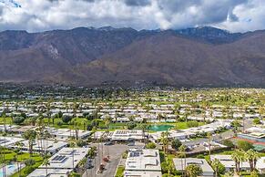 Canyon Palm in Palm Springs